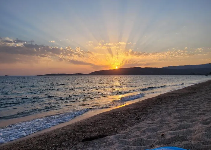 Cosy - U Nestru * Olmeto (Corsica)