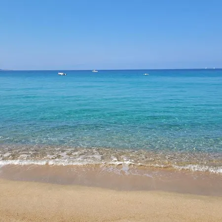 Cosy - U Nestru Chalet Olmeto (Corsica)