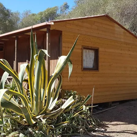 Cosy - U Nestru Alpehytte *