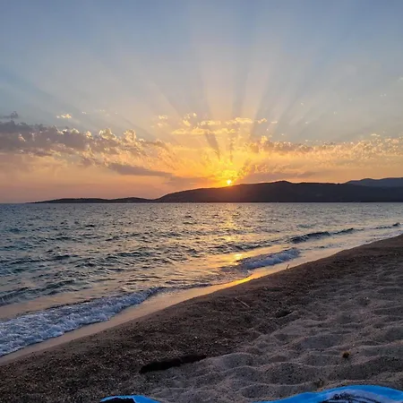 Cosy - U Nestru * Olmeto (Corsica)