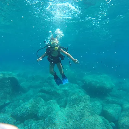 Cosy - U Nestru Alpehytte