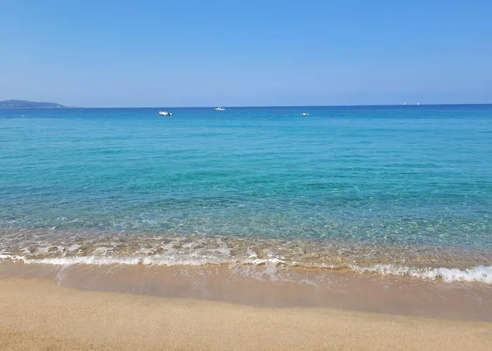 Cosy - U Nestru Alpehytte Olmeto (Corsica)