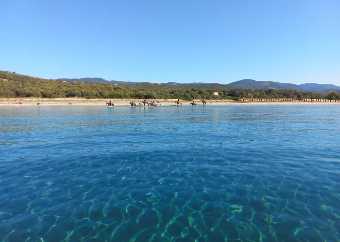 Alpehytte Cosy - U Nestru *