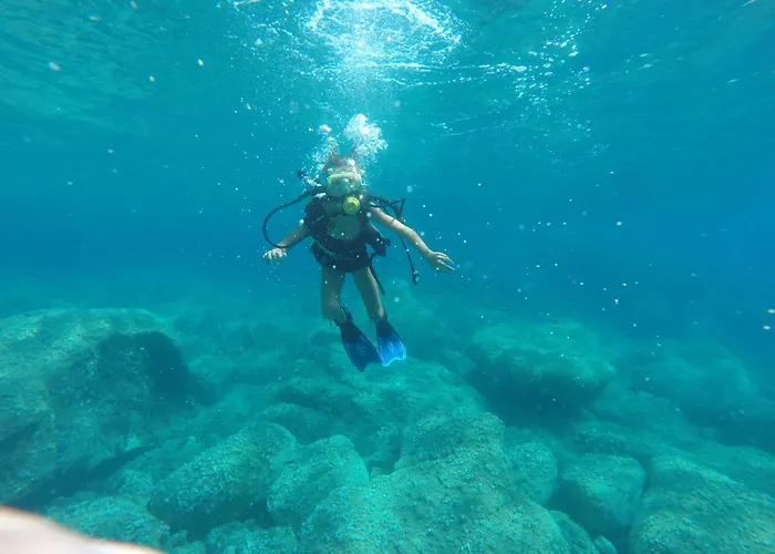 Cosy - U Nestru Alpehytte