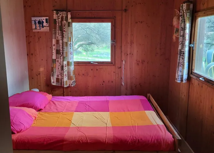 Cosy - U Nestru Alpehytte *